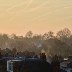 London/Forest Hill/DSC_9791.JPG